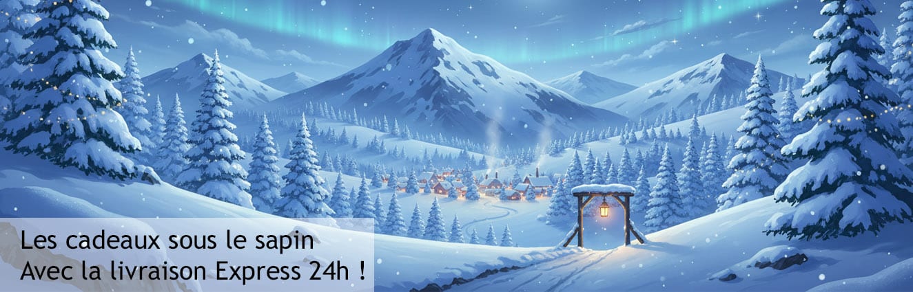 CF - Slider Noël - Livraison Express